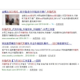 成都朱安安：SEO外链代发行业大揭密